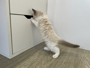 IMG E9767